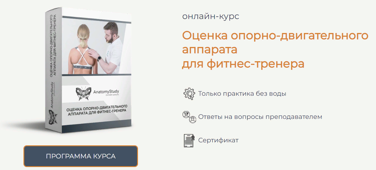 [AnatomyStudy] Андрей Богатырев ― Оценка опорно-дв_0.png